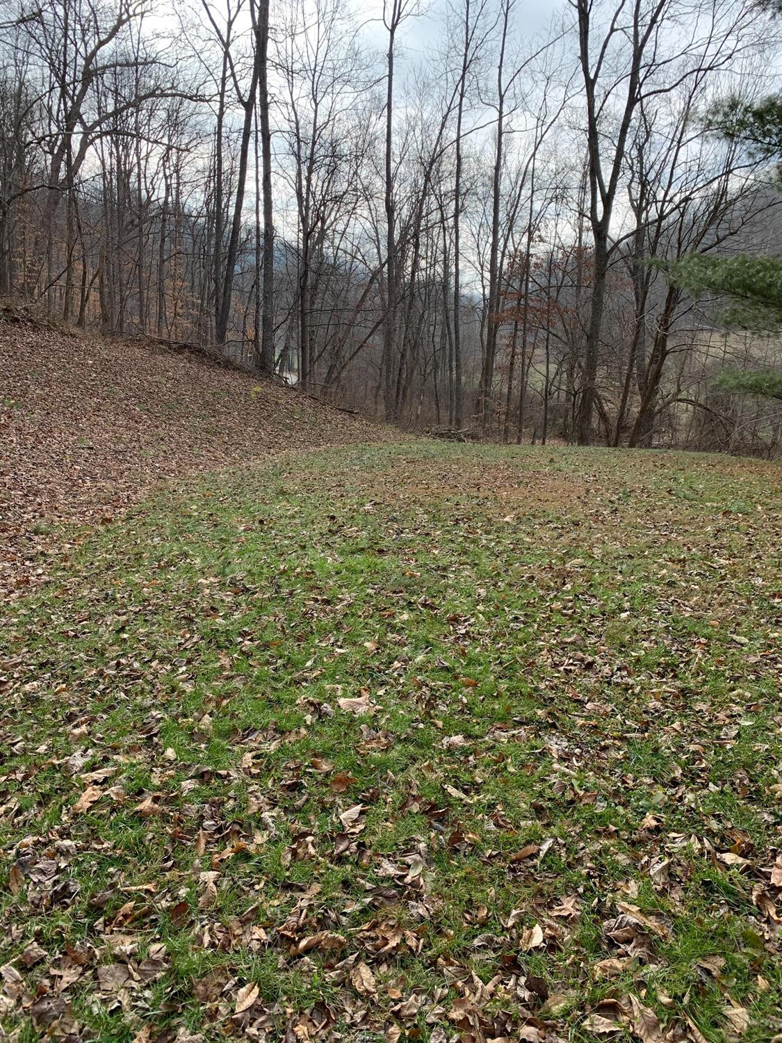 1003 Hazel Branch Road Vanceburg, KY 41179 - Photo 8 of 29 Photo 8