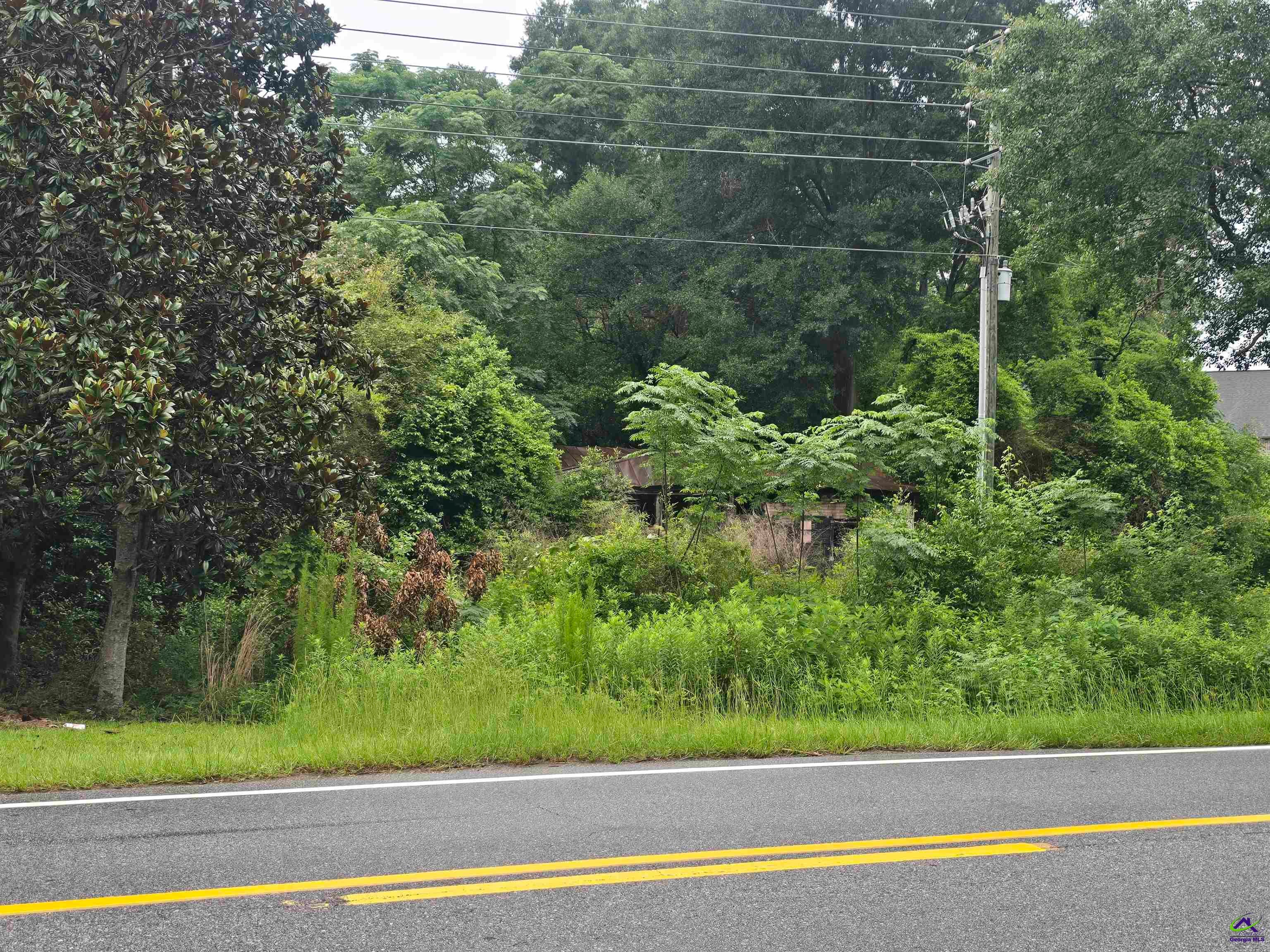 457 Bear Branch Road Kathleen, GA 31047 - Photo 1 of 4 Gallery Image 1
