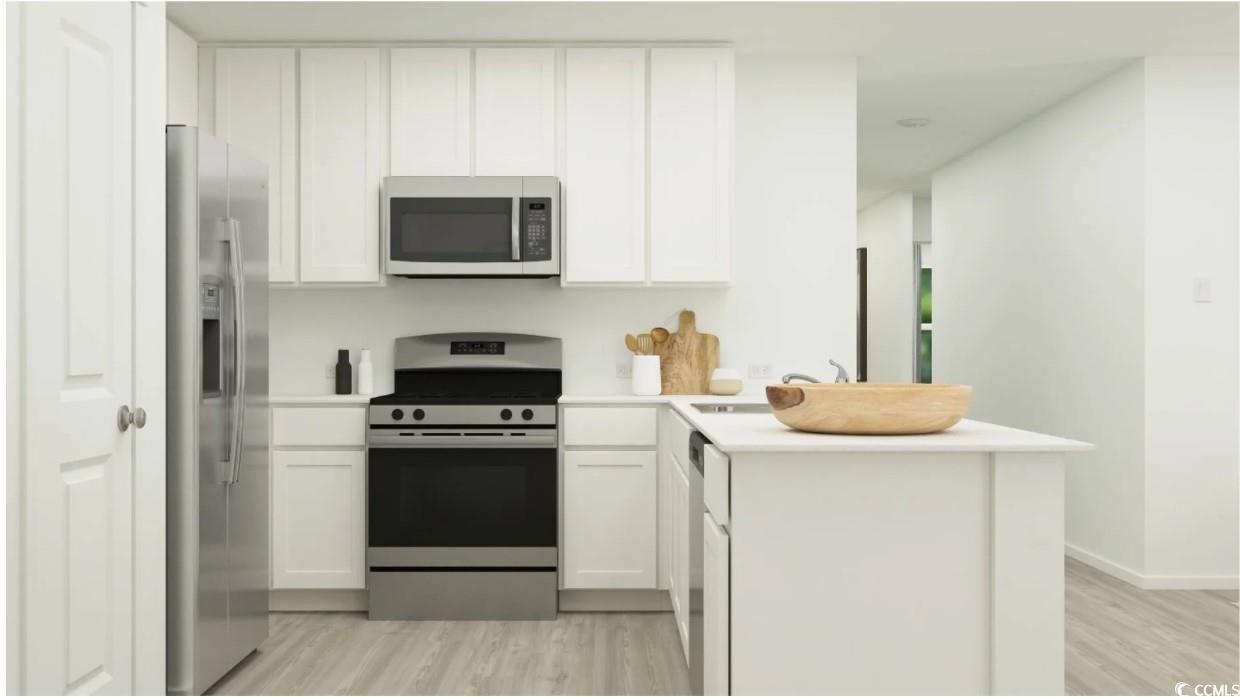 532 Runaway Train Drive Loris, SC 29569 - Photo 2 of 19