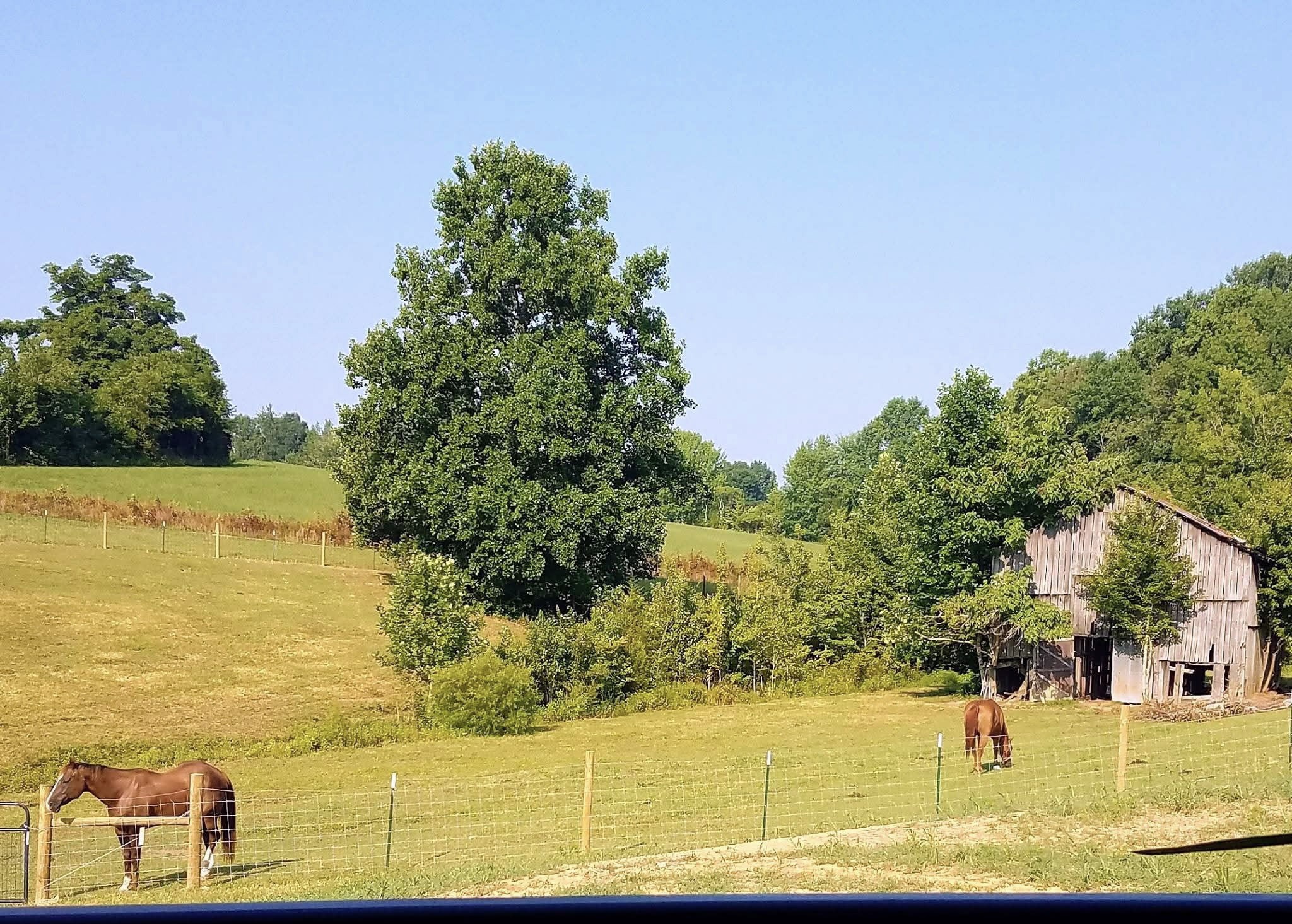 1631 A Rock Bridge Road Bethpage, TN 37022 - Photo 49 of 72