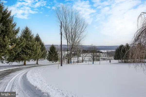 a view of snow on a road