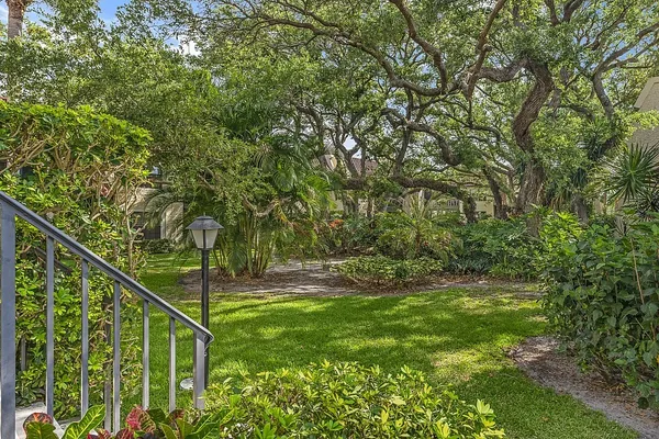 a view of a field with a tree