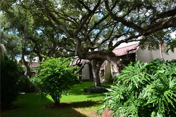a front view of a house with a tree
