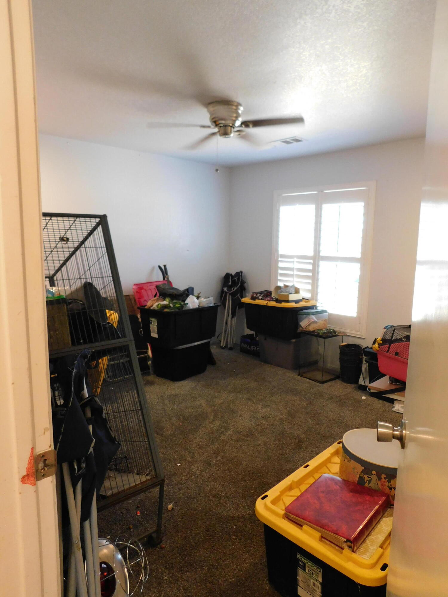 20367 Goodfellow Avenue Reedley, CA 93654 - Photo 58 of 123 570
