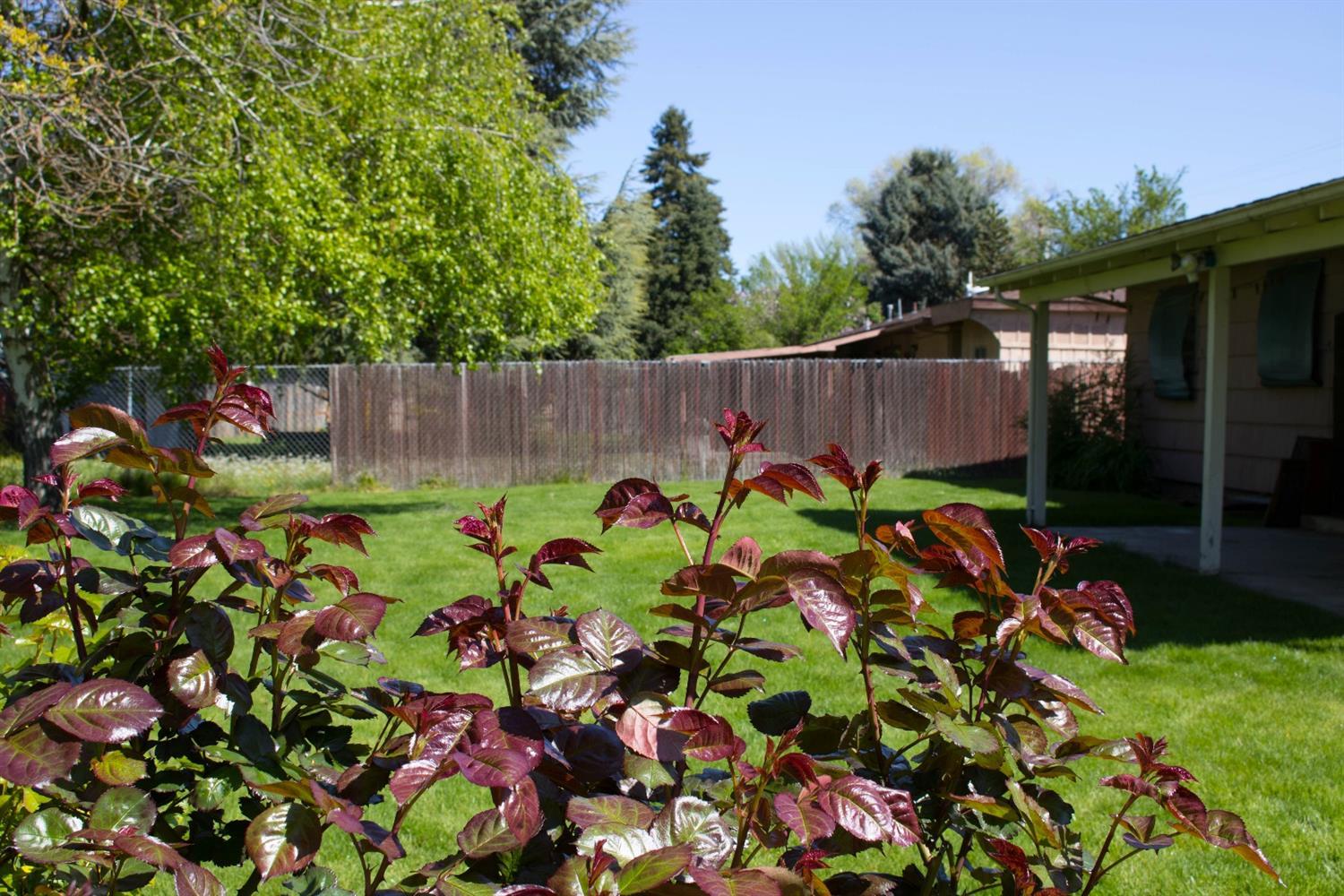 2613 Table Rock Road Medford, OR 97501 - Photo 22 of 23 a view of a bunch of flowers and wooden fence