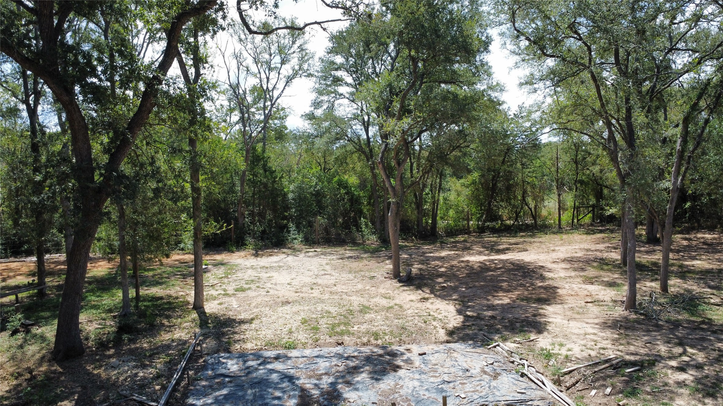 959 Carter Road Dale, TX 78616 - Photo 8 of 20 Mature trees frame a spacious, naturally cleared lot ideal for future development.