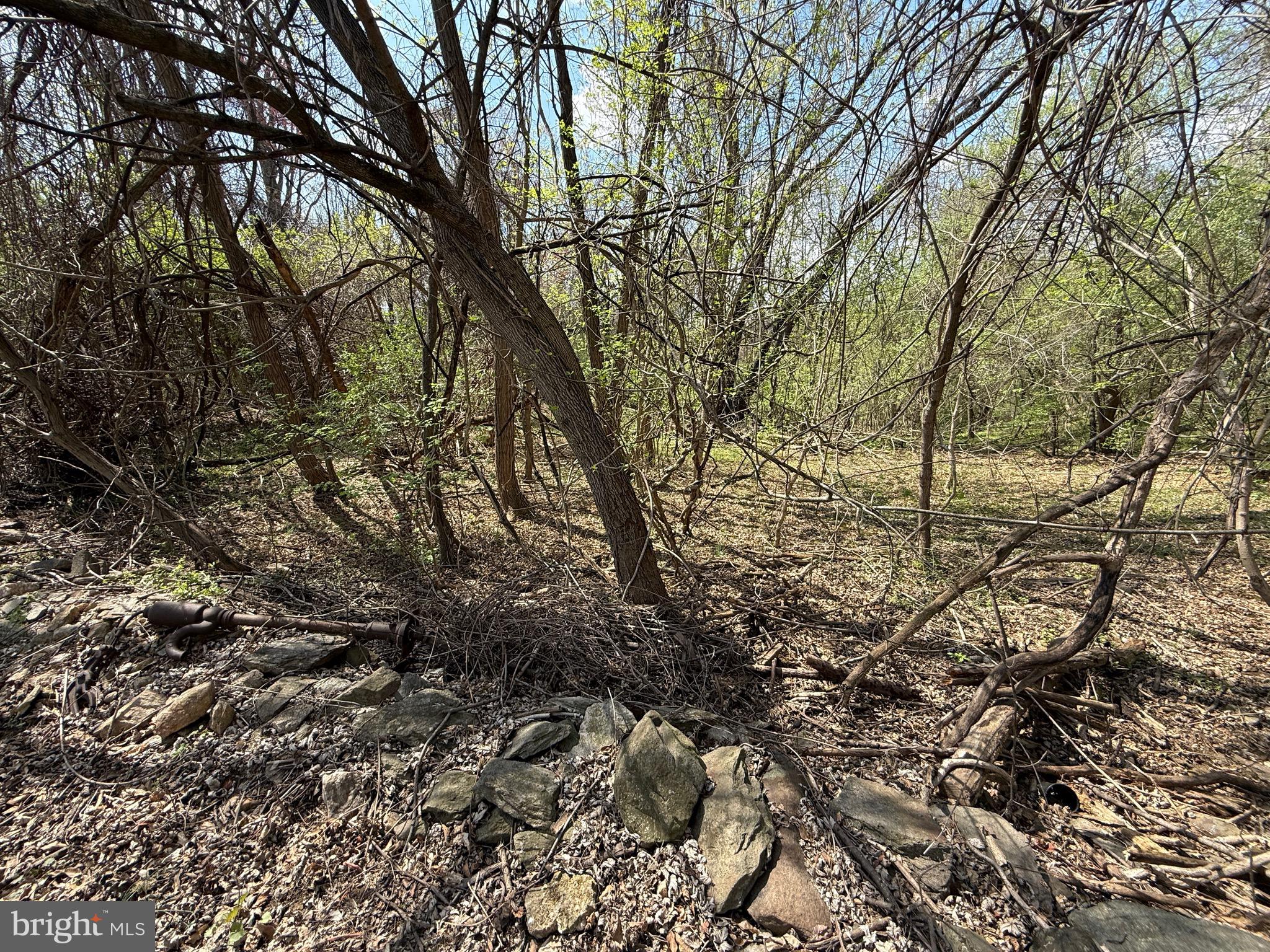 Philomont Road Purcellville, VA 20132 - Photo 1 of 7