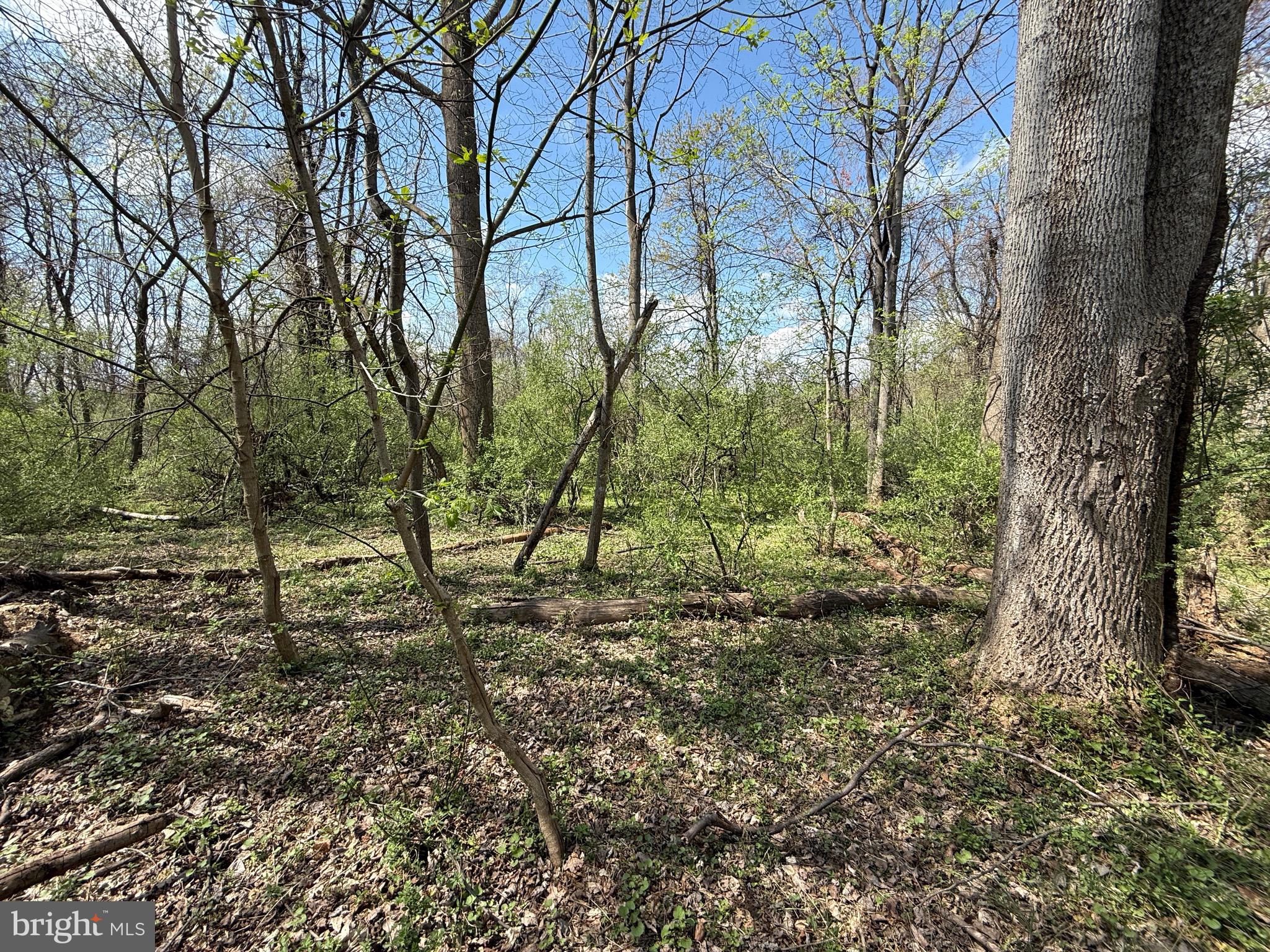 Philomont Road Purcellville, VA 20132 - Photo 2 of 7