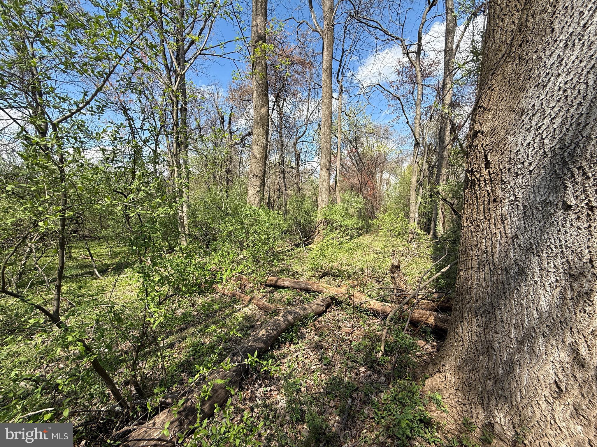Philomont Road Purcellville, VA 20132 - Photo 3 of 7