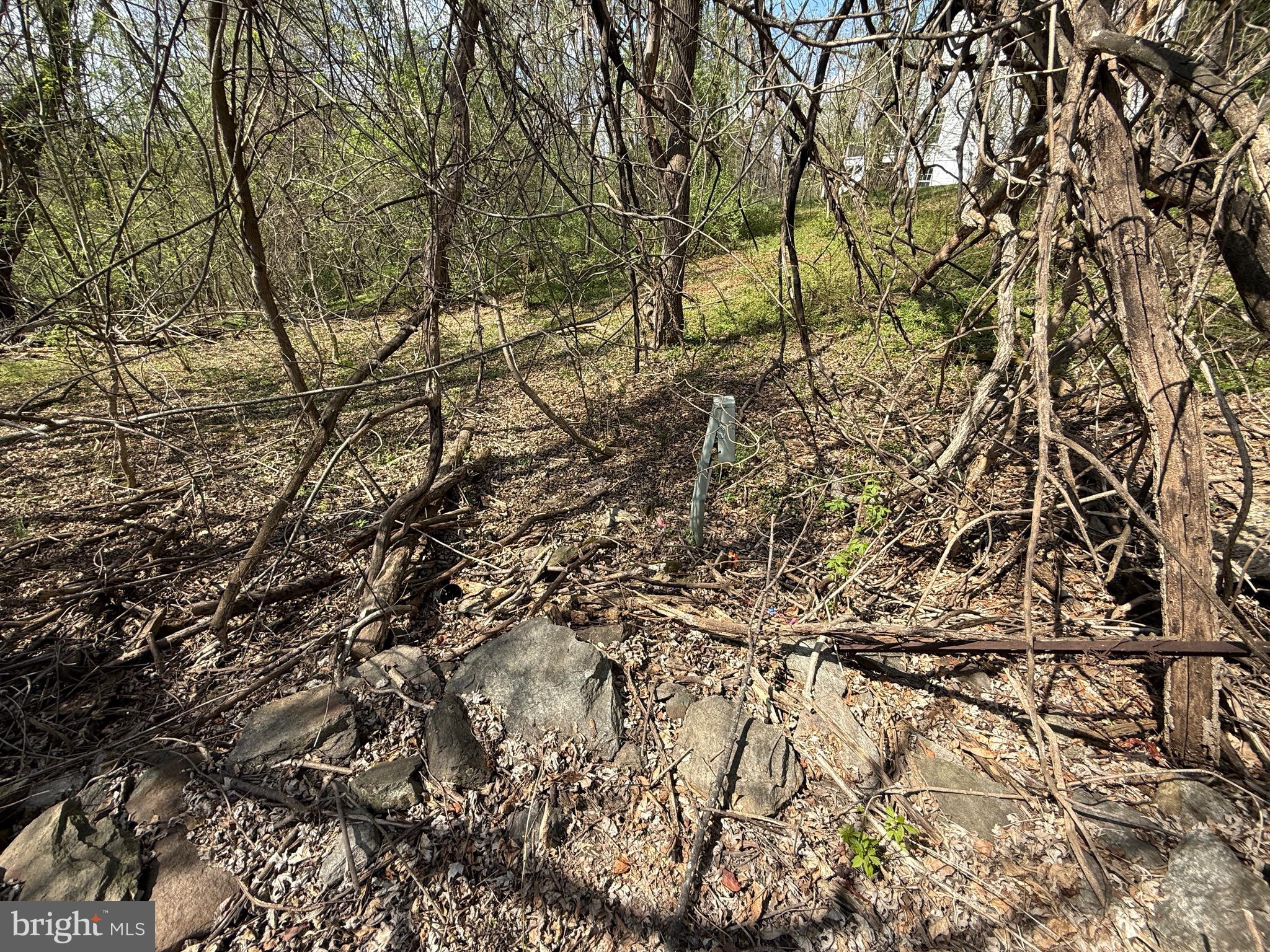 Philomont Road Purcellville, VA 20132 - Photo 4 of 7 Iron pipe by telephone box