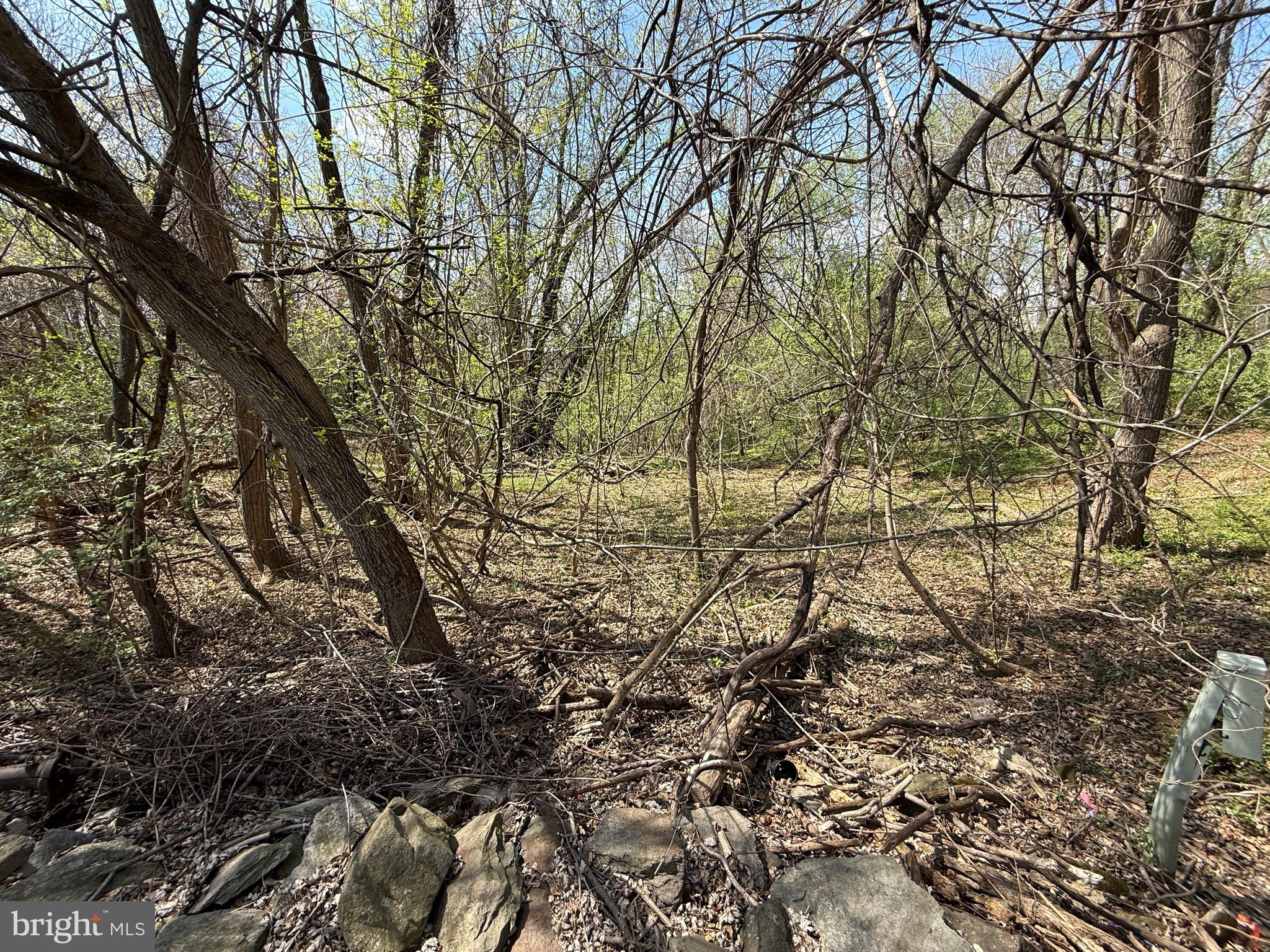 Philomont Road Purcellville, VA 20132 - Photo 5 of 7