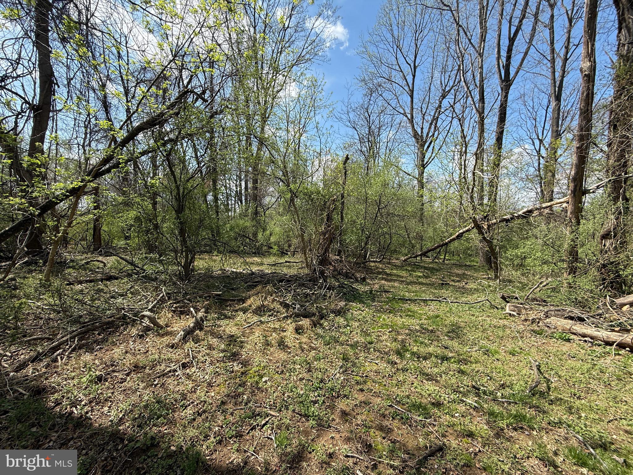 Philomont Road Purcellville, VA 20132 - Photo 6 of 7