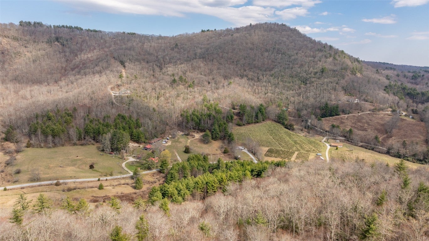 1900 Bee Tree Road Glenville, NC 28736 - Photo 36 of 38 Gallery Image 36