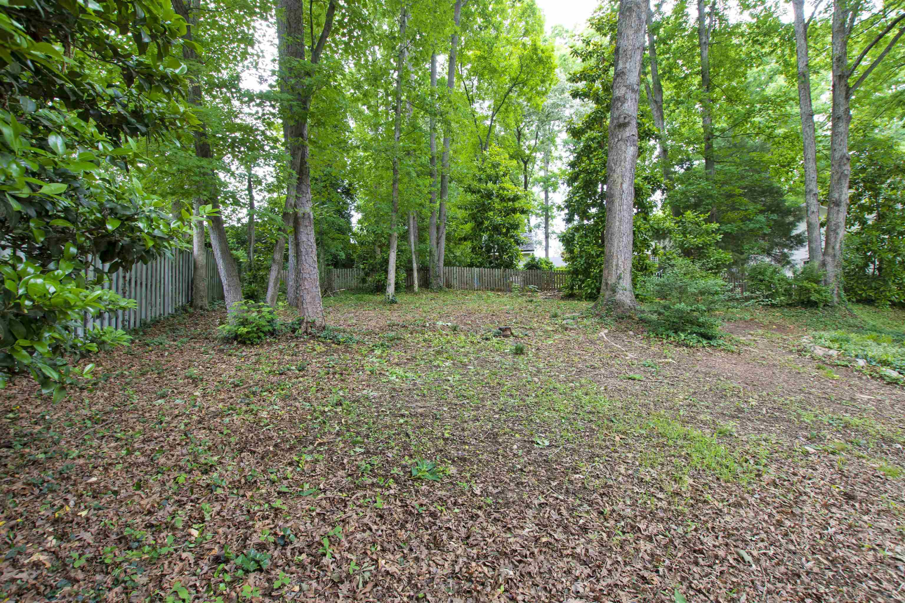 713 Brunswick Street Raleigh, NC 27609 - Photo 32 of 32 Photo 32
