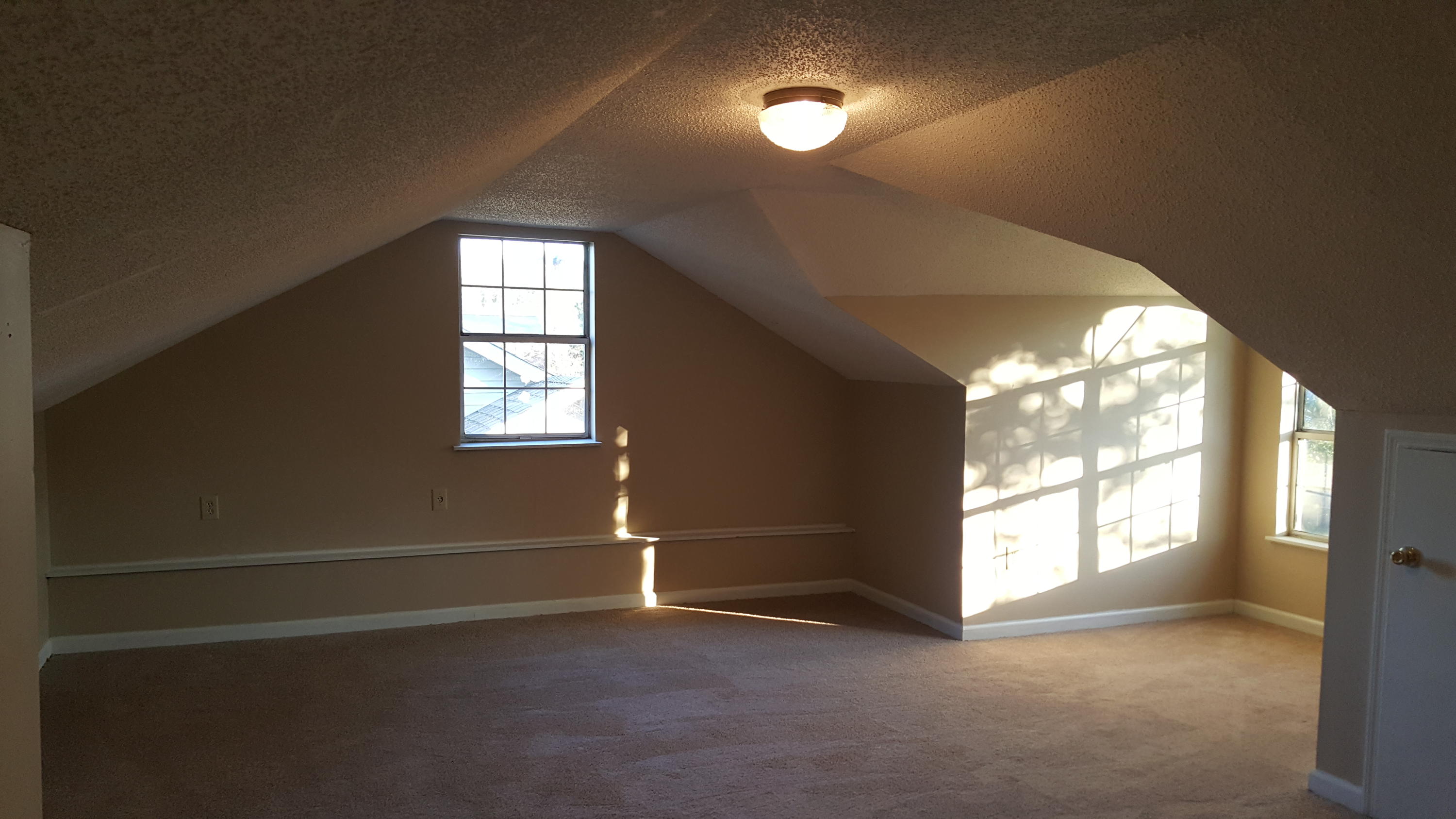 7635 Buck Pond Road North Charleston, SC 29418 - Photo 15 of 21 Buck Pond bonus 2