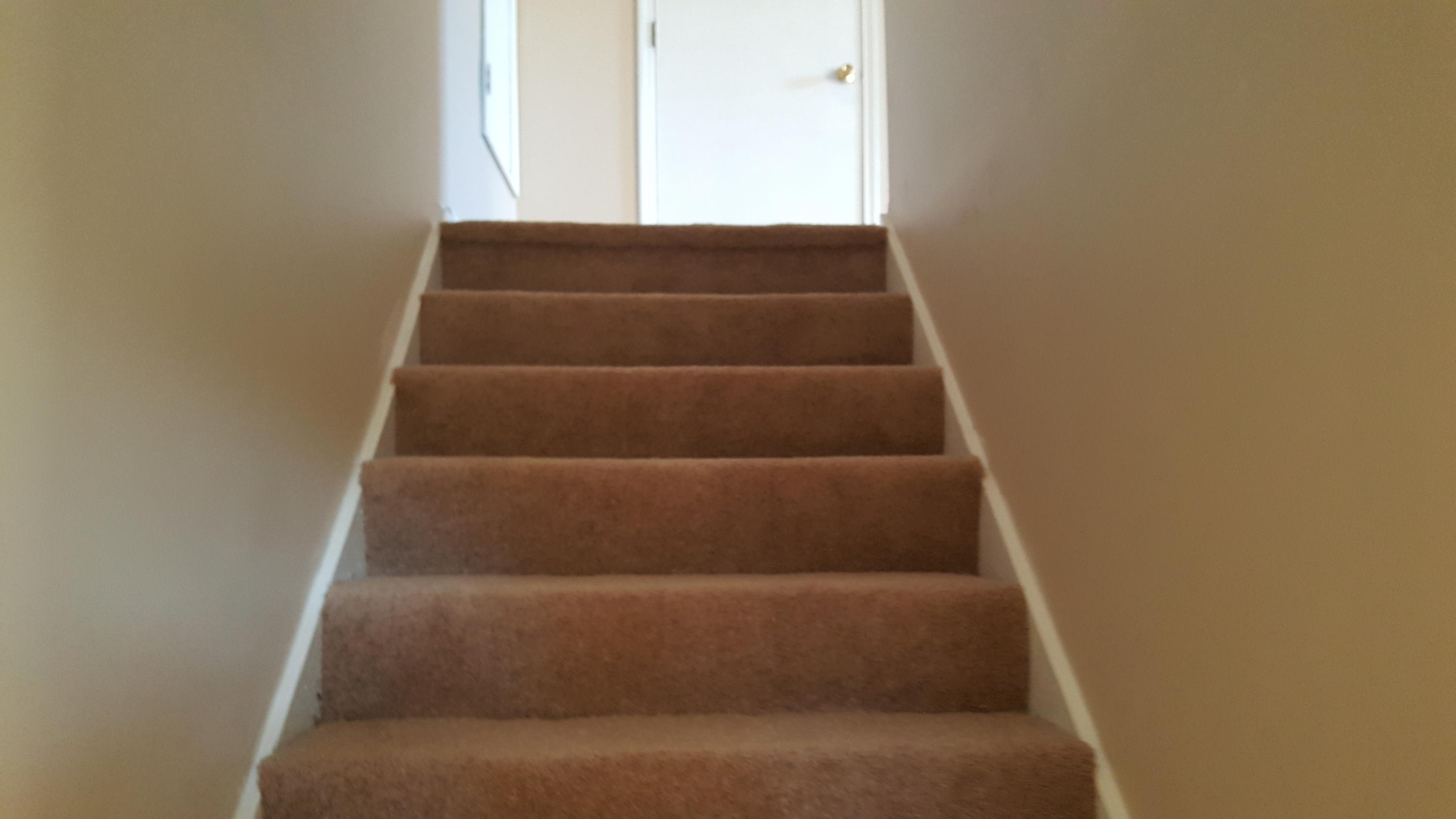 7635 Buck Pond Road North Charleston, SC 29418 - Photo 10 of 21 Buck Pond stairs
