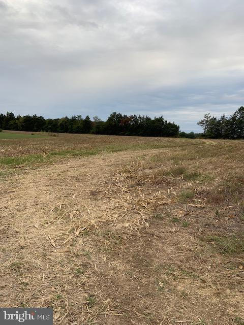 Windwright Lane Catlett, VA 20119 - Photo 13 of 25