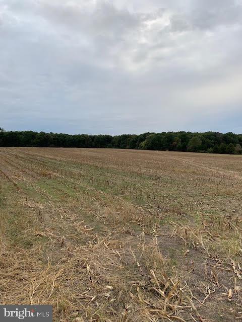 Windwright Lane Catlett, VA 20119 - Photo 17 of 25