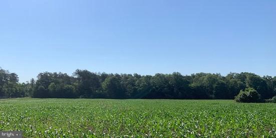 Windwright Lane Catlett, VA 20119 - Photo 20 of 25