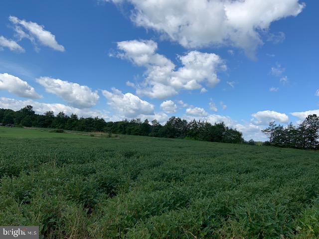 Windwright Lane Catlett, VA 20119 - Photo 4 of 25