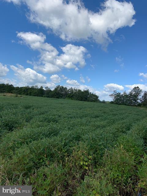 Windwright Lane Catlett, VA 20119 - Photo 5 of 25