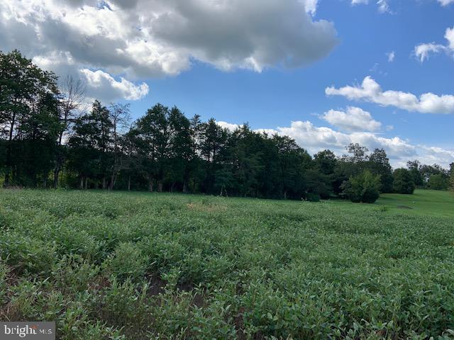 Windwright Lane Catlett, VA 20119 - Photo 6 of 25