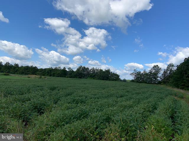 Windwright Lane Catlett, VA 20119 - Photo 7 of 25