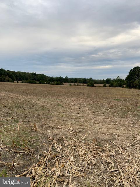 Windwright Lane Catlett, VA 20119 - Photo 8 of 25