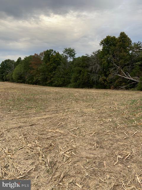 Windwright Lane Catlett, VA 20119 - Photo 9 of 25