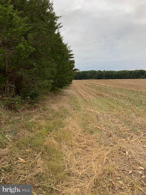 Windwright Lane Catlett, VA 20119 - Photo 10 of 25