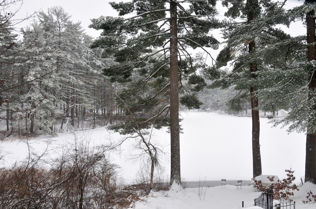 108 Rattlesnake Hill Road Andover, MA 01810 - Photo 28 of 29