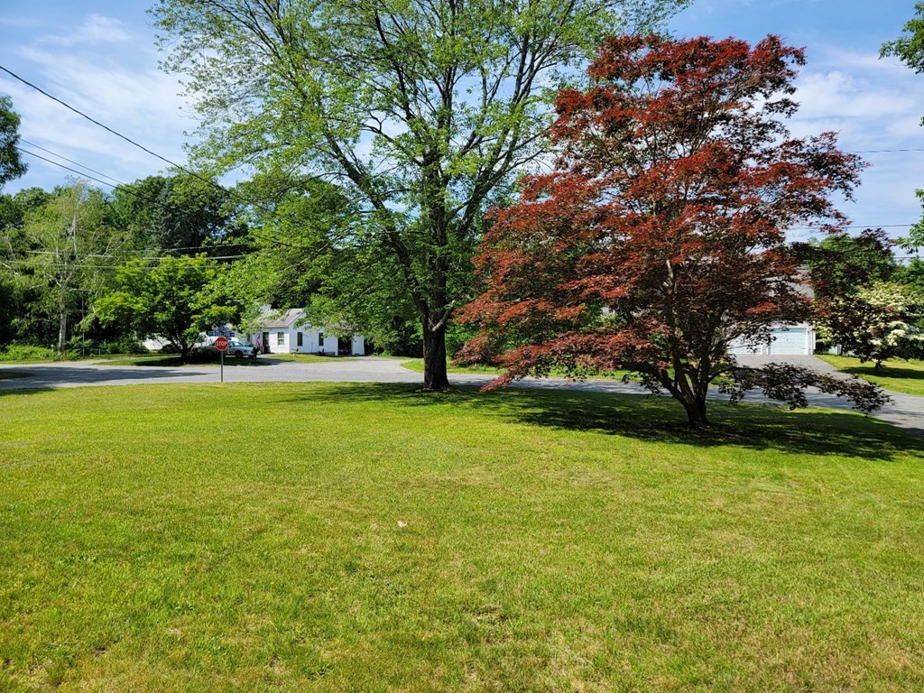 62 Woodland Road Ashland, MA 01721 - Photo 3 of 28 Gallery Image 3