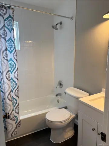 a bathroom with a toilet and a bathtub