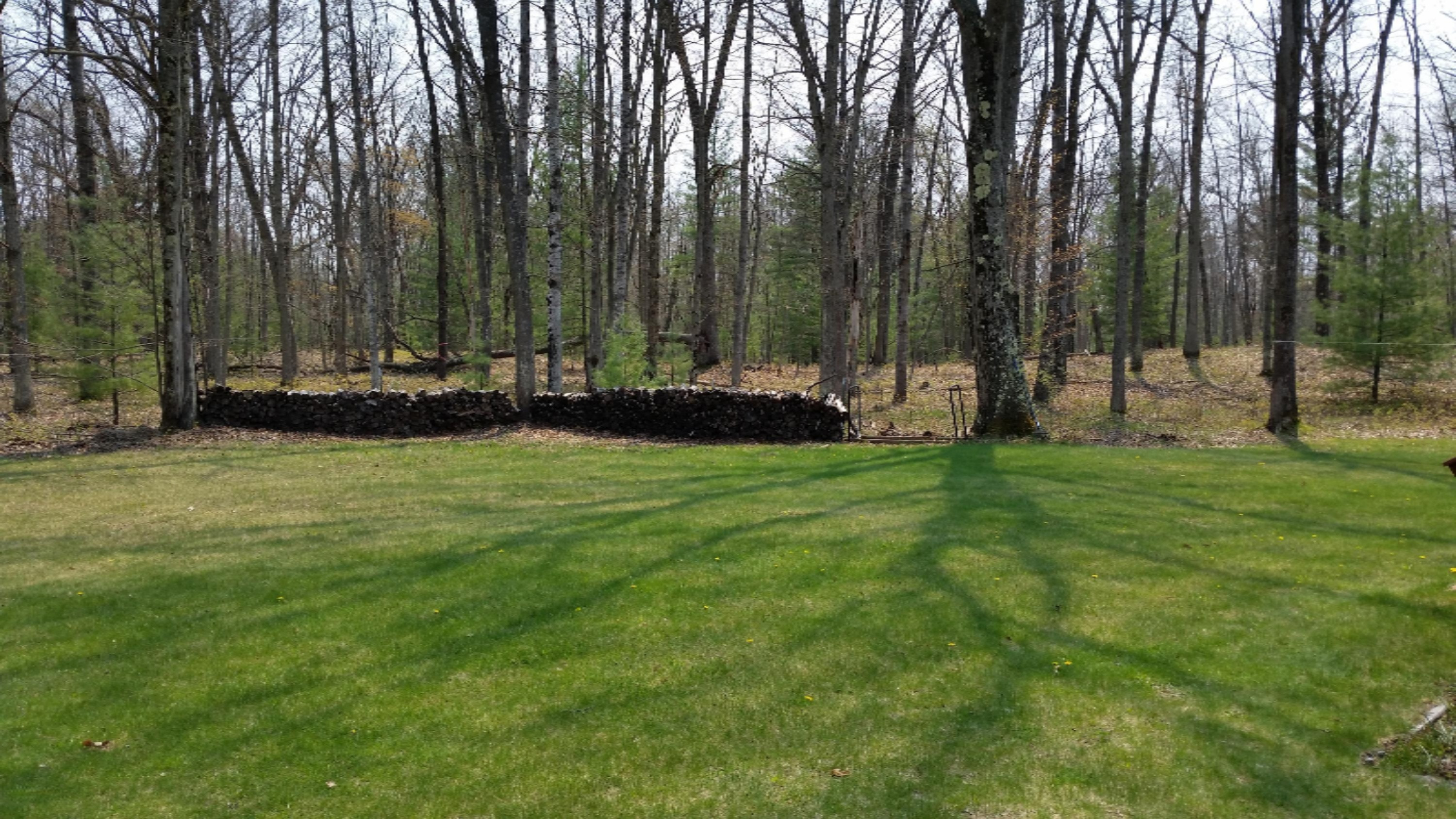 3183 South Tyndall Road Branch, MI 49402 - Photo 7 of 26 20160508_140740