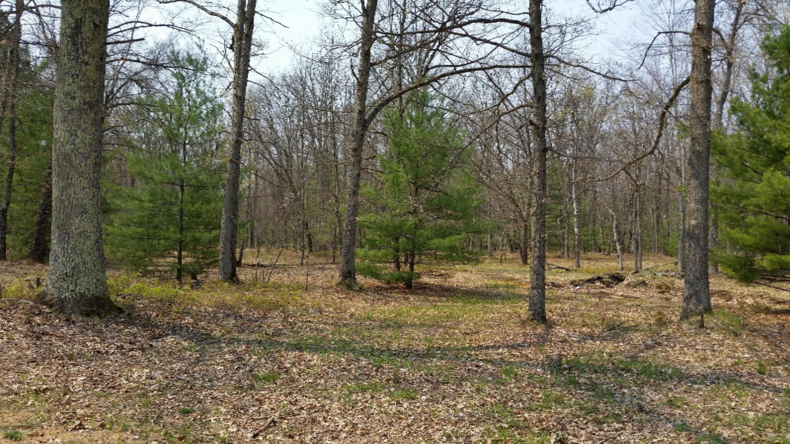 3183 South Tyndall Road Branch, MI 49402 - Photo 8 of 26 20160508_140619 (1)