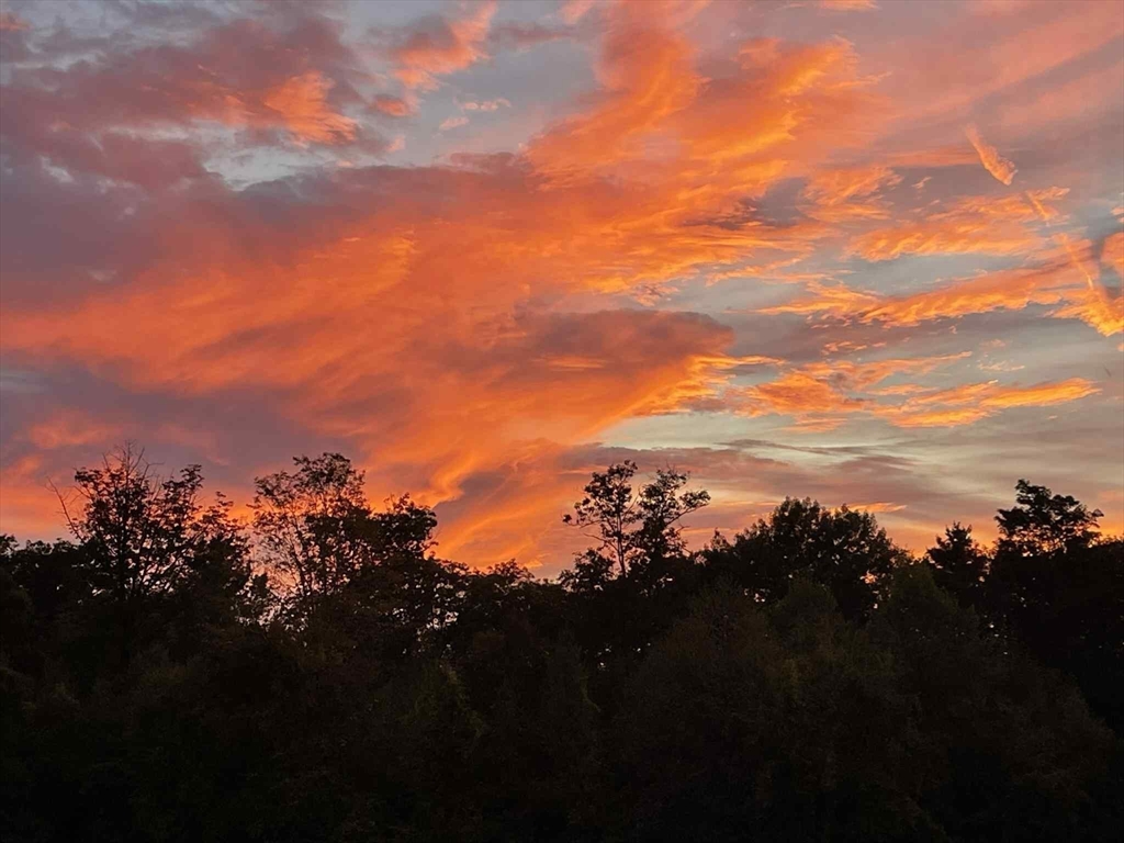 4 Elm Avenue Royalston, MA 01368 - Photo 11 of 42