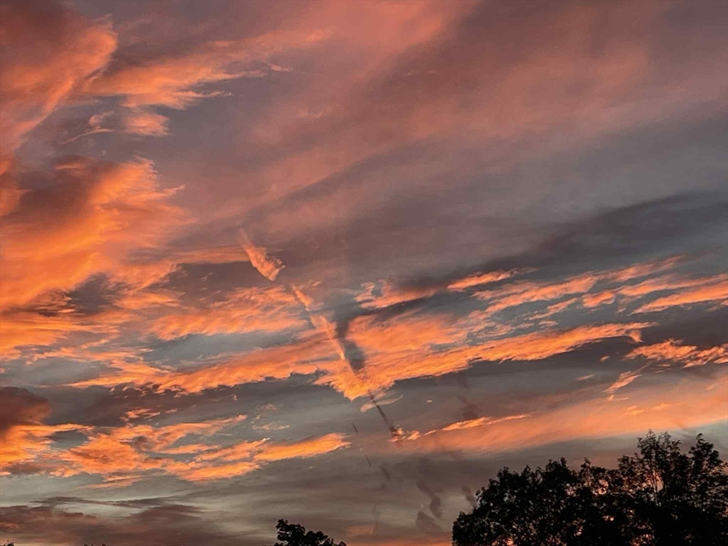 4 Elm Avenue Royalston, MA 01368 - Photo 30 of 42