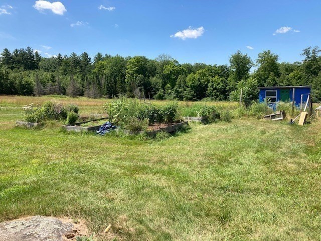 4 Elm Avenue Royalston, MA 01368 - Photo 10 of 42 a big yard with lots of green space