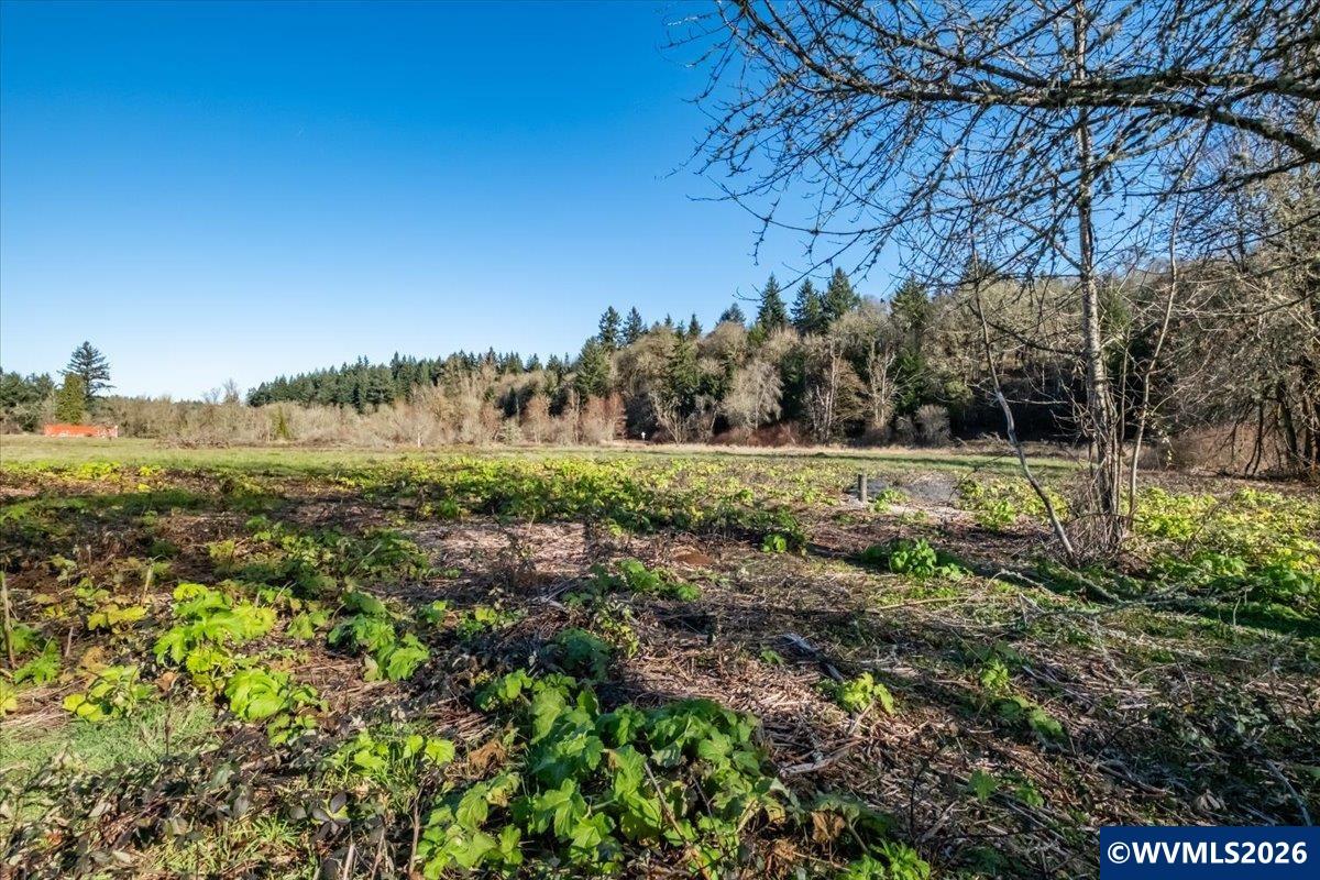 2531 Ballyntyne Road South Salem, OR 97302 - Photo 3 of 22