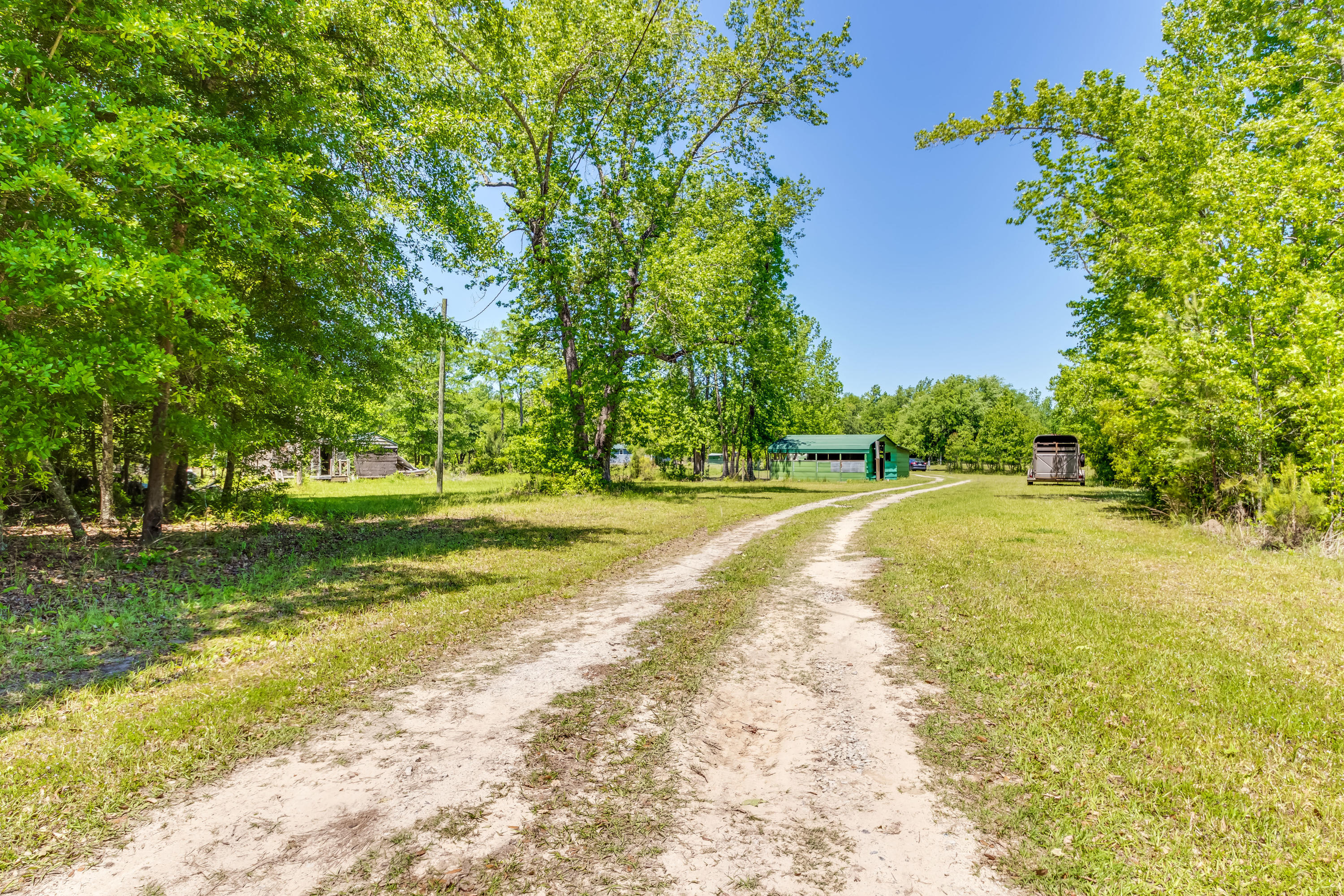 186 Cell Tower Road Salters, SC 29590 - Photo 3 of 35 Private Driveway