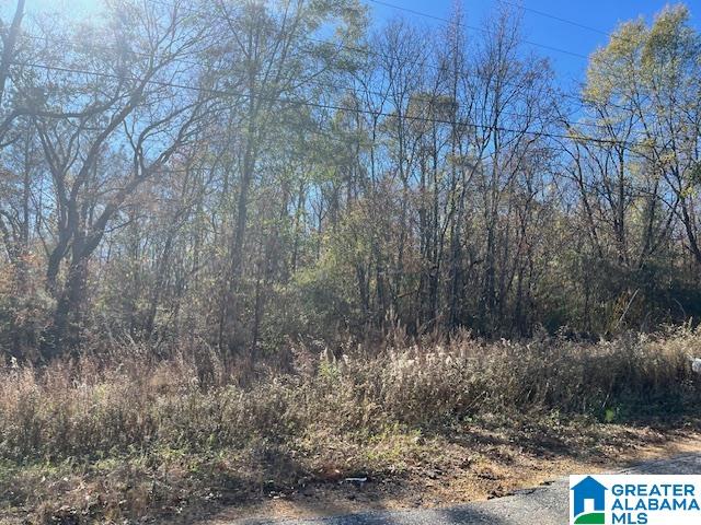 0 Sycamore Church Road, Unit 6 Talladega, AL 35160 - Photo 2 of 4 Gallery Image 2
