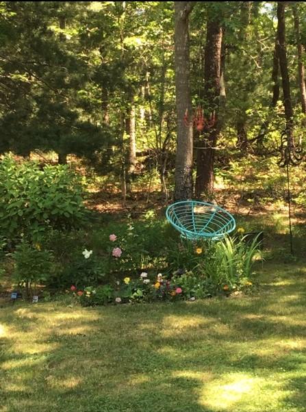 6 Padlock Lane Centerville, MA 02632 - Photo 26 of 29 a swimming pool with some trees