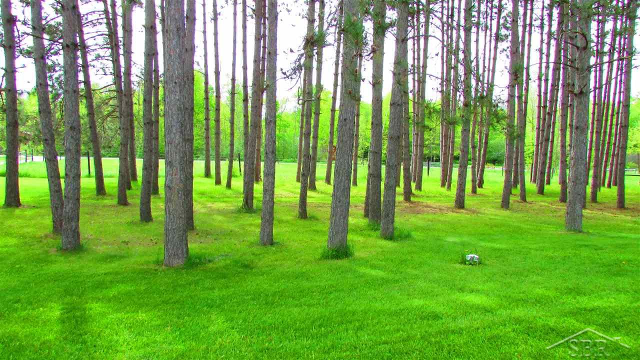 4510 Steel Hemlock, MI 48626 - Photo 56 of 84 31292255-56.JPG