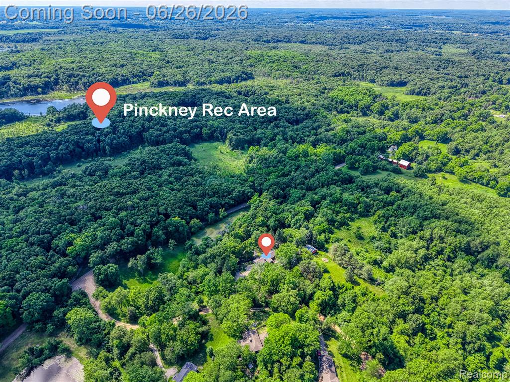 4200 Angels Pass Pinckney, MI 48169 - Photo 12 of 76