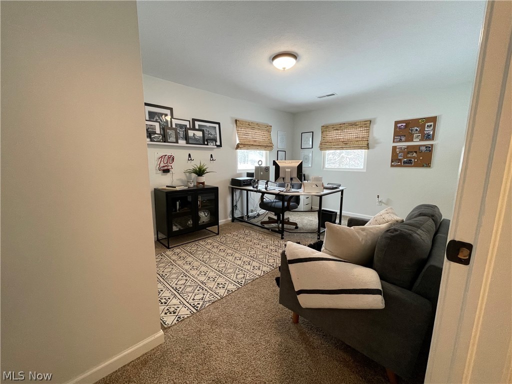 6172 Stone Road Hudson, OH 44236 - Photo 15 of 25 Second bedroom or office.