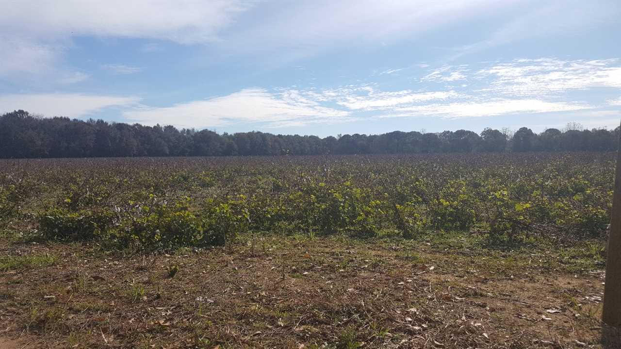 36 East County Road Summerdale, AL 36580 - Photo 5 of 7