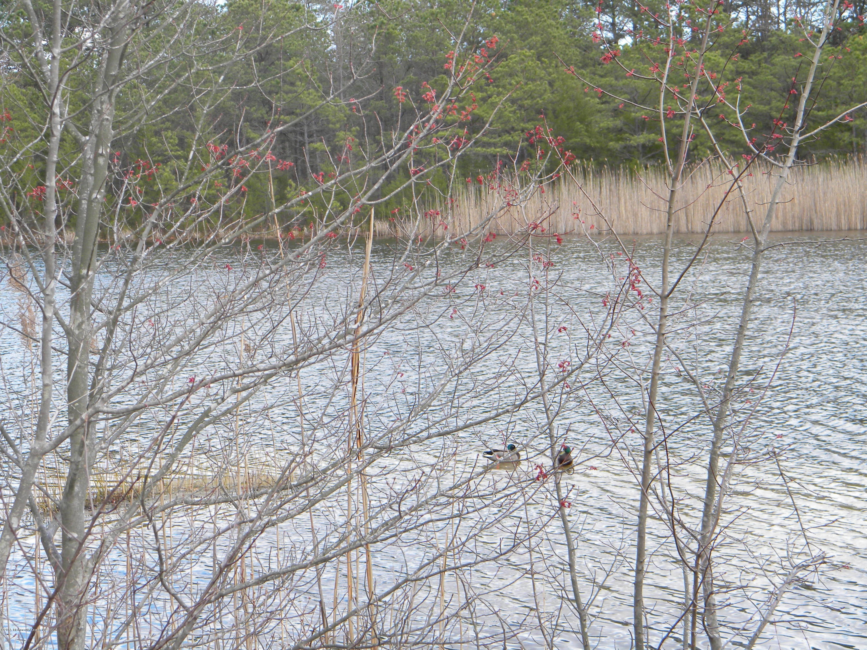 12 A Walnut Road, Unit 30 Manahawkin, NJ 08050 - Photo 26 of 26 lake at fawn lake
