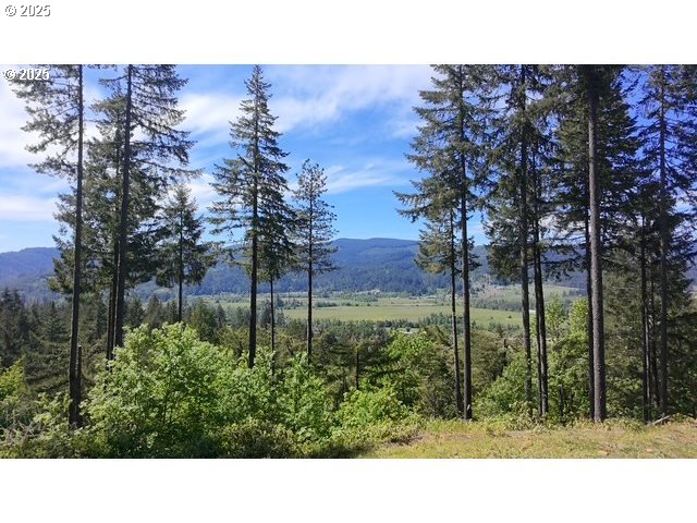 Alder Branch Road Springfield, OR 97478 - Photo 1 of 12 a open area with lots of trees