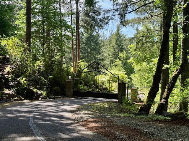 Alder Branch Road Springfield, OR 97478 - Photo 11 of 12 a view of a yard with plants and trees