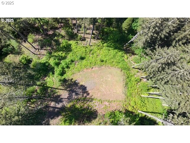 Alder Branch Road Springfield, OR 97478 - Photo 2 of 12 a picture of a park